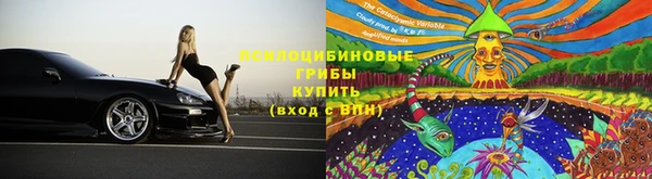 PSILOCYBIN Богородск