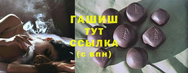 гидра Богородицк