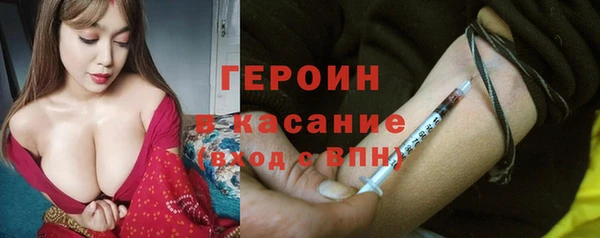 гидра Богородицк