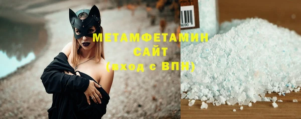 гидра Богородицк