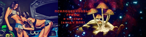 ГАЛЛЮЦИНОГЕННЫЕ ГРИБЫ Бронницы