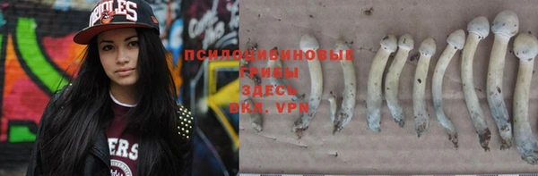 PSILOCYBIN Богородск