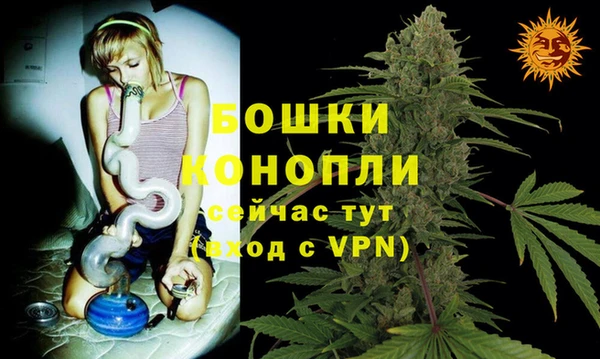 PSILOCYBIN Богородск