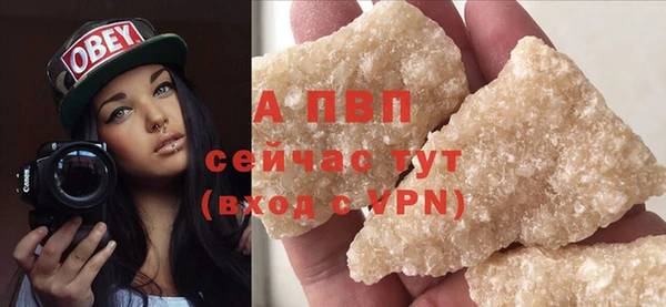 гидра Богородицк