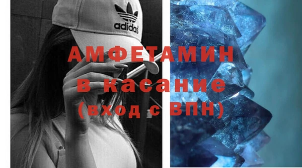 гидра Богородицк